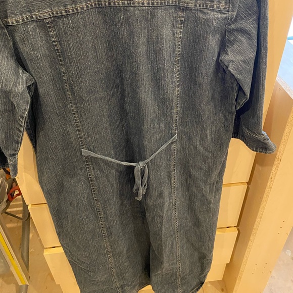 Denim Dress - Picture 2 of 3